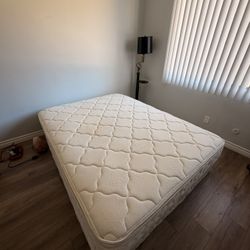 Queen Mattress + Box Spring And Lamp - (pickup today)