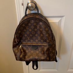Louis Vuitton Palm Springs MM Backpack 
