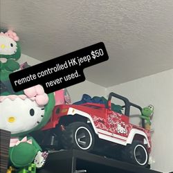 Hello Kitty  Plushies/Clothes/backpacks