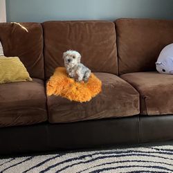 📣 Ready for a New Home 🐾