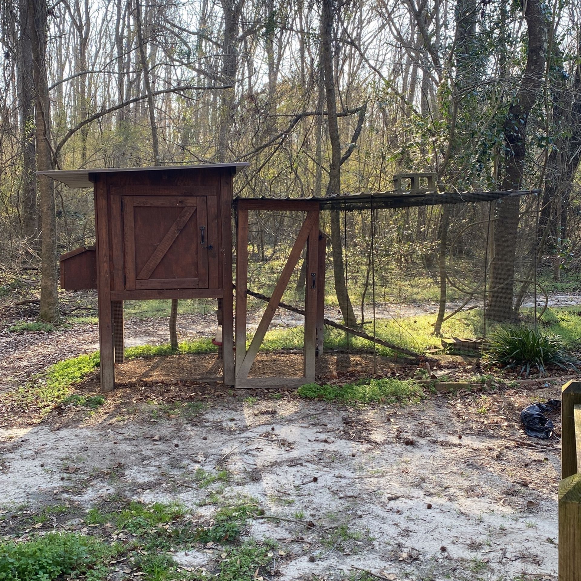 Chicken Coop
