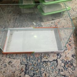 Fish Tank Aquarium Pecera Plants