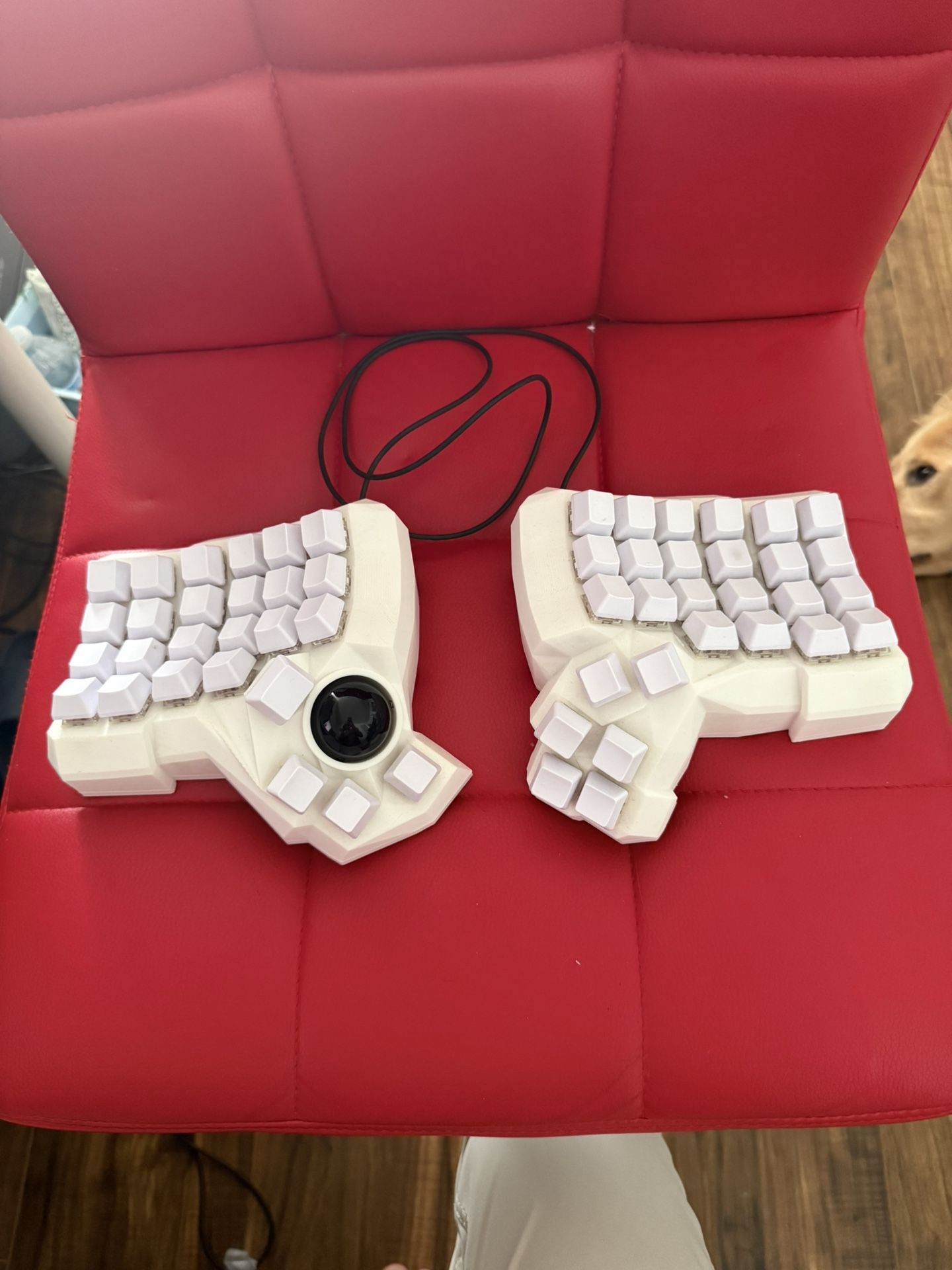 Dactyl Mechanical Keyboard With Trackball
