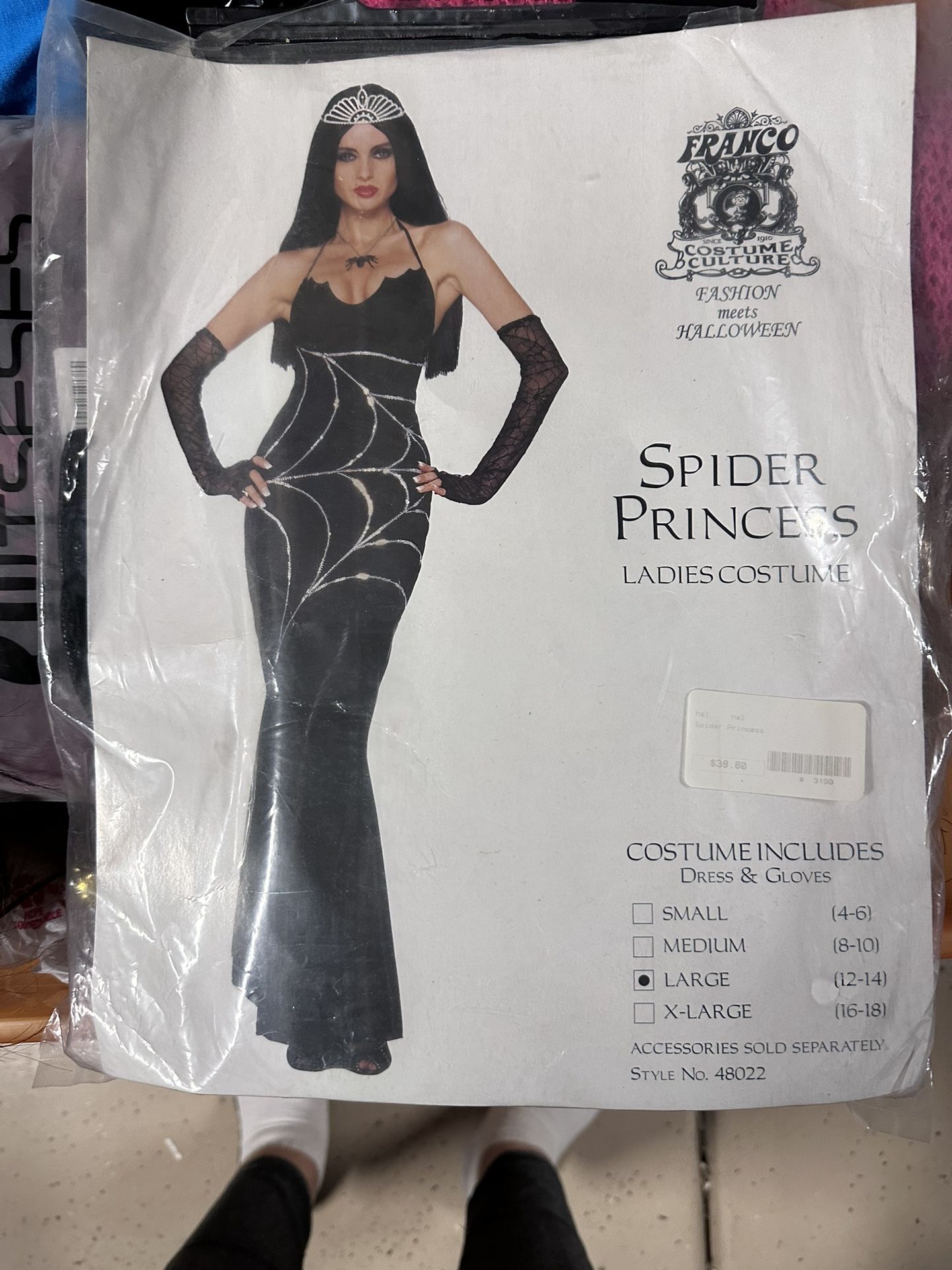 Spider Witch Woman’s Costume