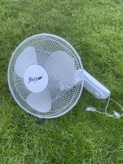 Fan