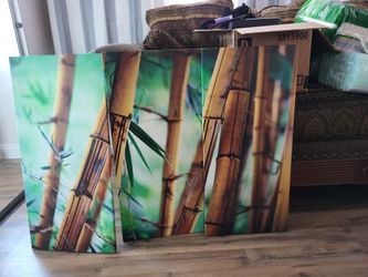 3 PC Canvas Bamboo design