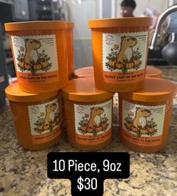 NEW 10-Piece Pumpkin Spice Capybara Scented Candle Set (9oz Each) – Take All for $30