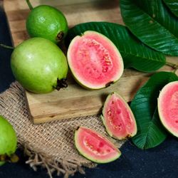Pink GUAVA TREE
