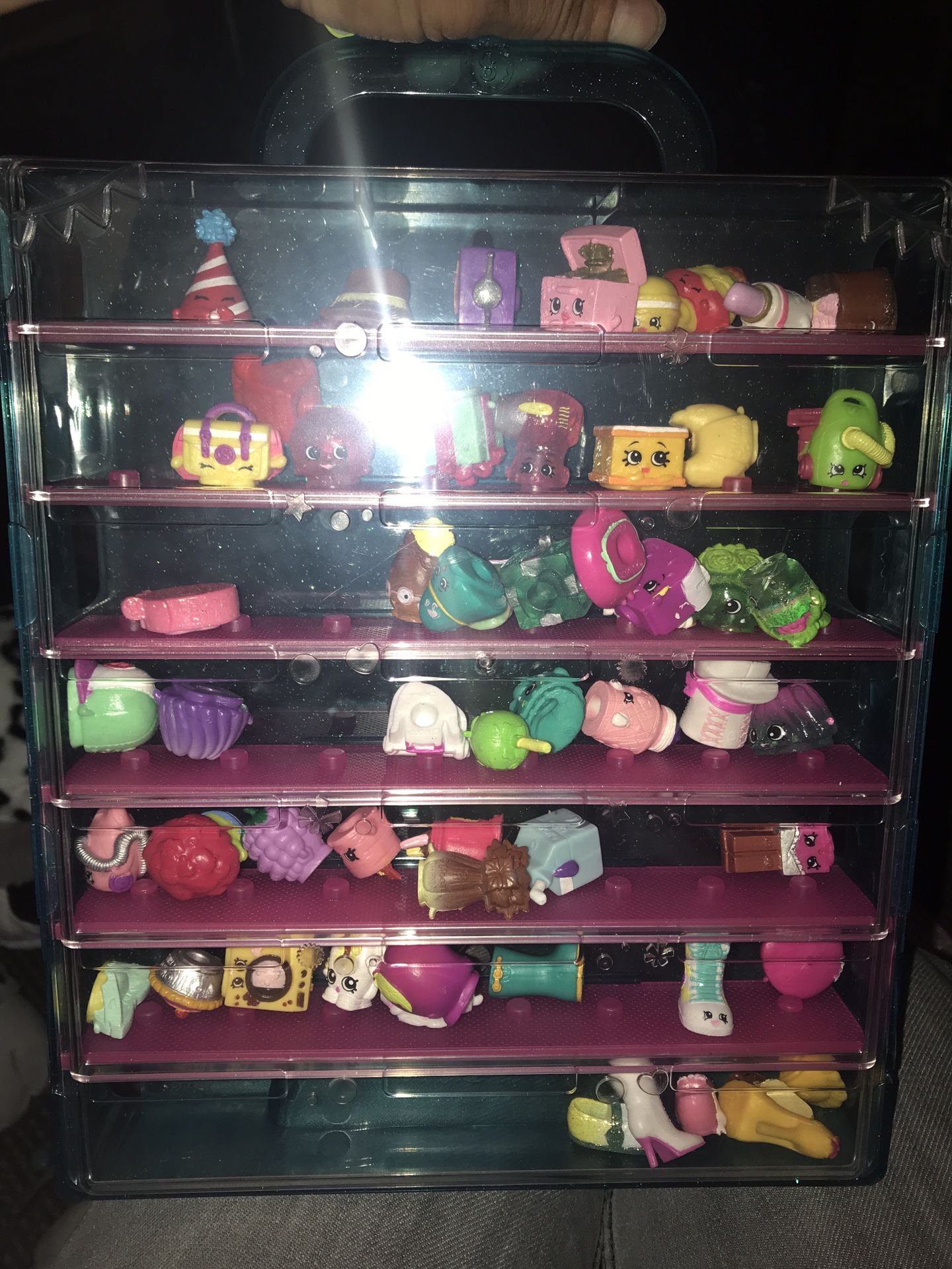 Shopkins and case display