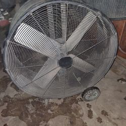 Shop Fan