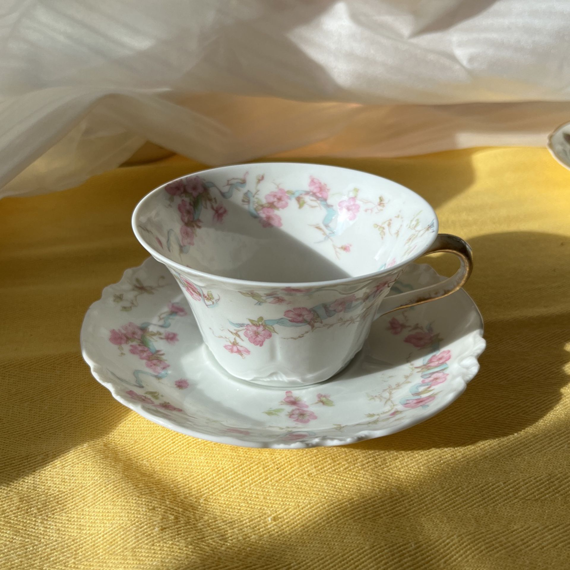 Antique Limoges china cup and saucer by Haviland in France