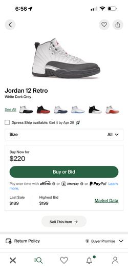 Air Jordan 12