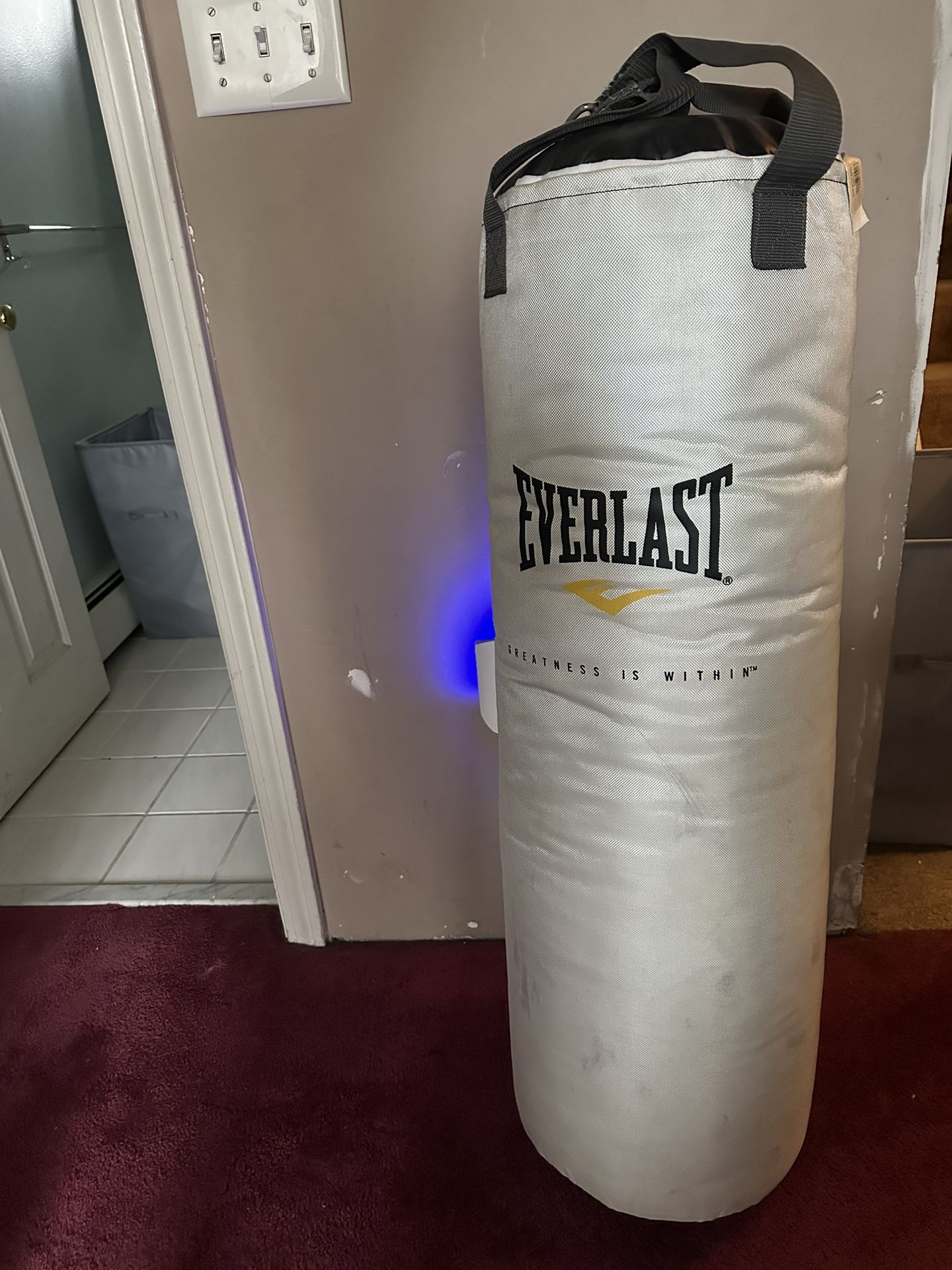 Everlast Punching Bag