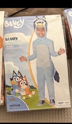 Bluey costume