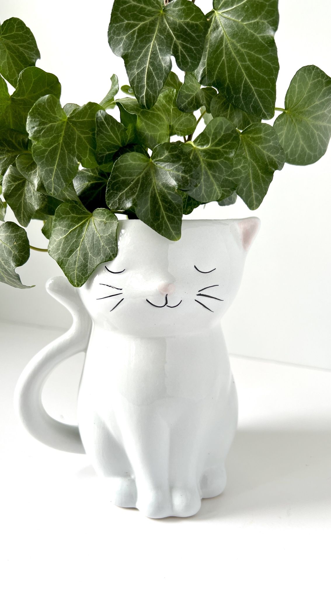 Ivy Plant w Cat Planter