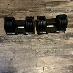 dumbbell And Bench
