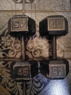 2 Dumbbells 45 pounds  $120