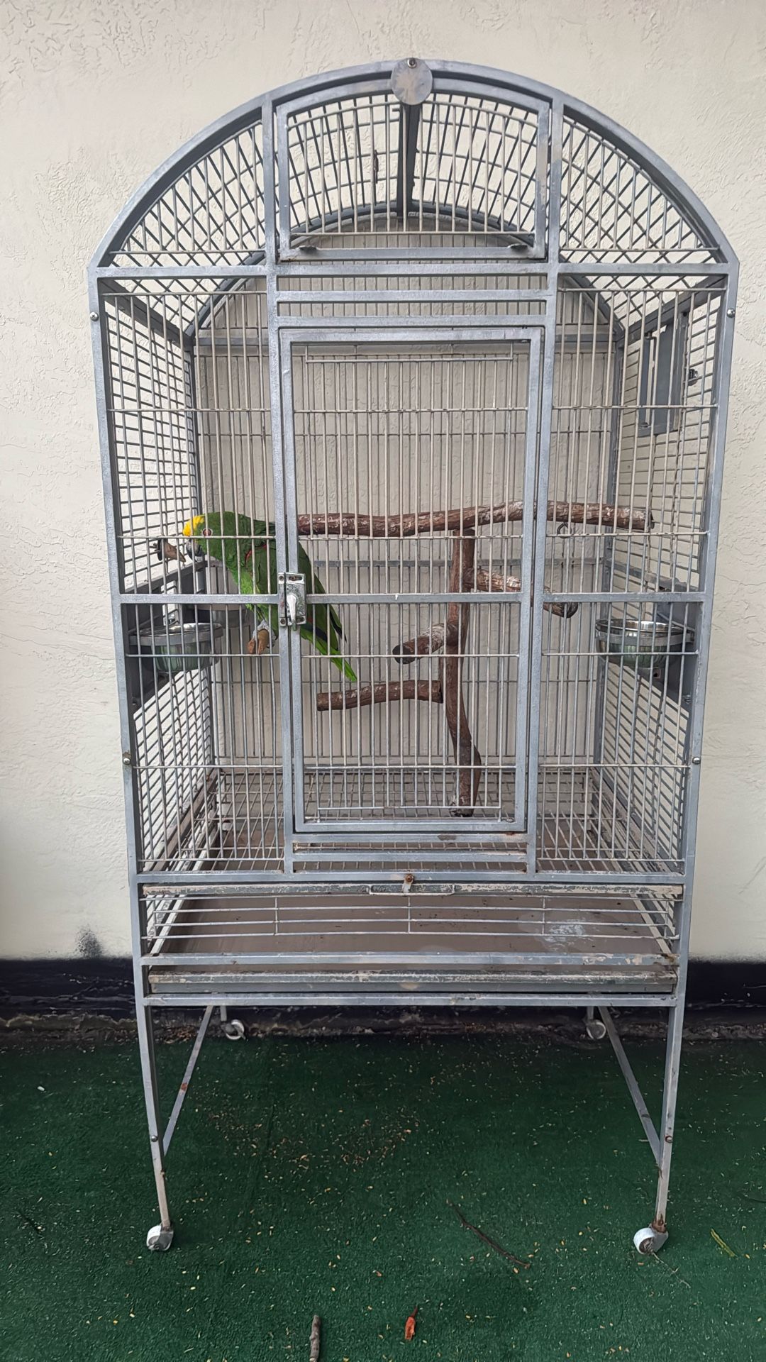Parrot Cage 
