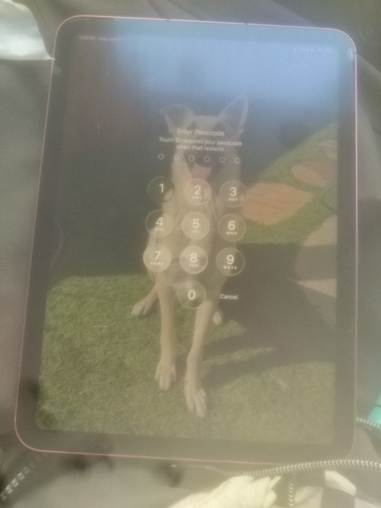 Ipad  A16 10th Generation 256gb With Accessories 