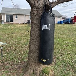 Everlast 100lb Bag