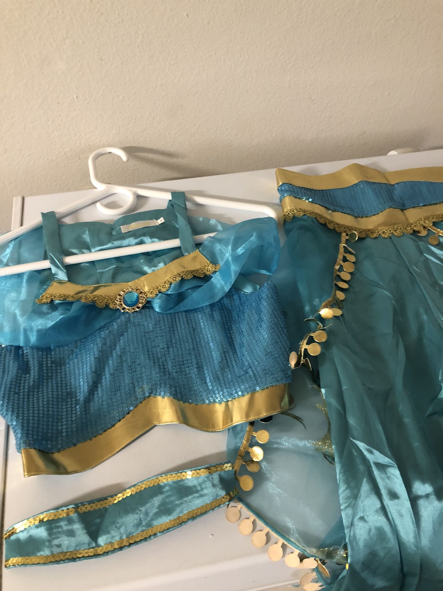 Jasmine Outfit Halloween Costume/ Party