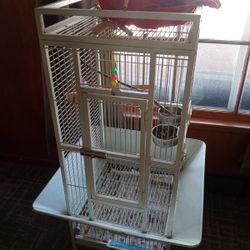 Bird Cage Needs To ASAP