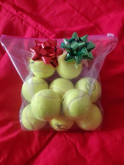 Christmas / For Pets