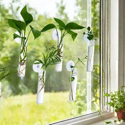 6 pcs Window Propagation Stations