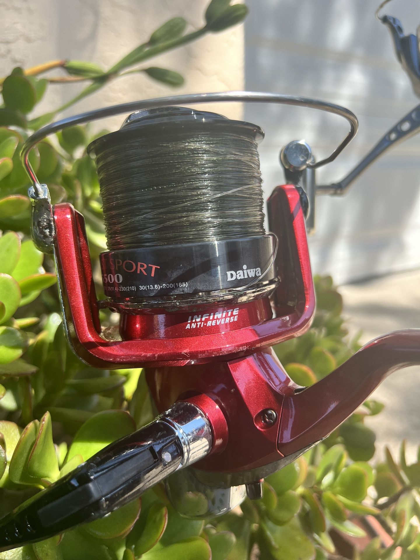 Rod And Reel For Sale