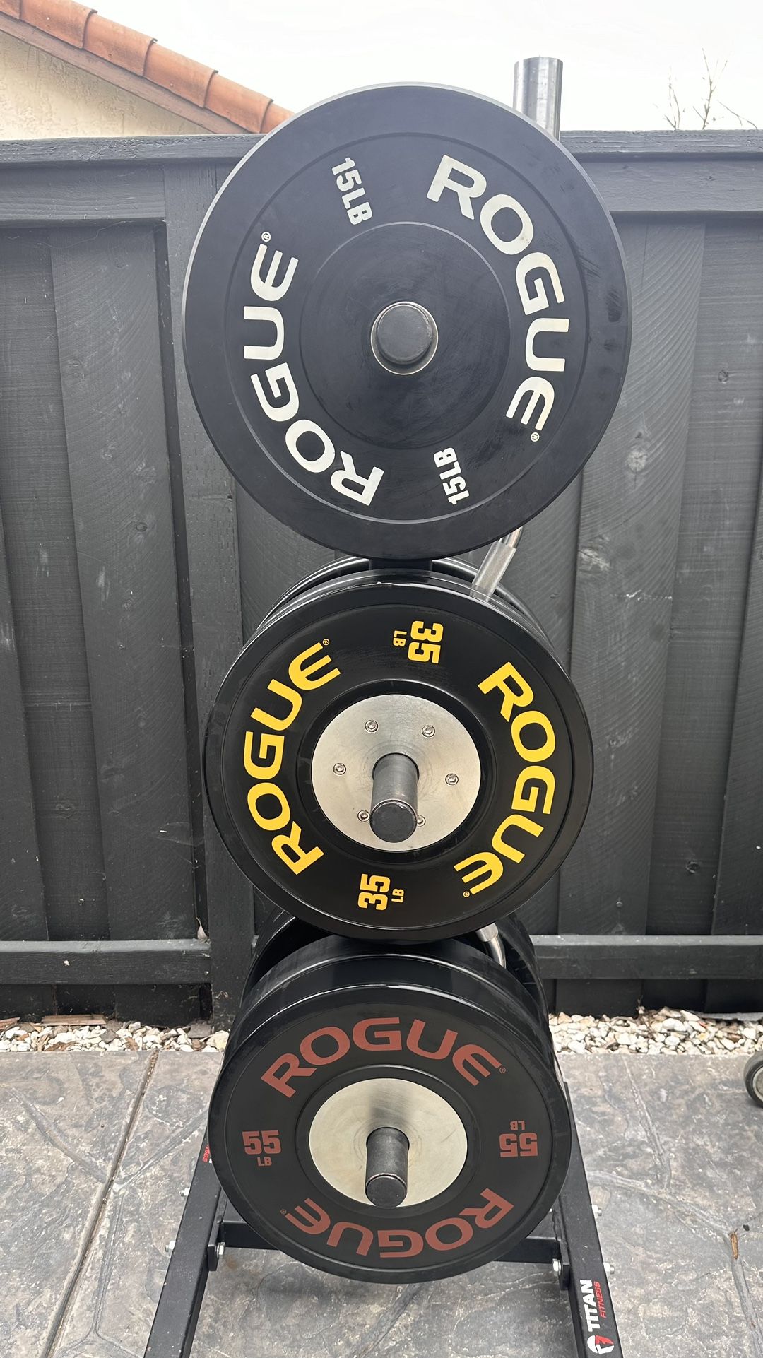 ROGUE TRAINING 2.0 PLATES