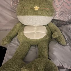 Big Stuffed Frog 