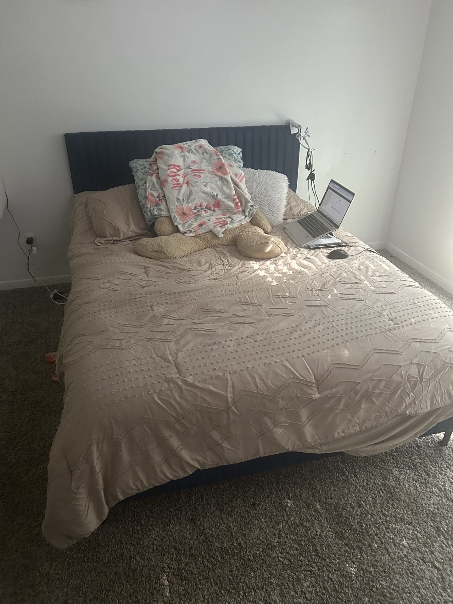Queen Size Mattress & Frame Set