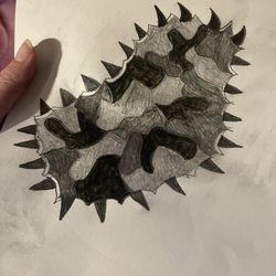 Unspecified Insect Pencil Drawing New