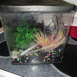 Cute Aquarium All U See An Filter Temp Gage Etc 9 Firm