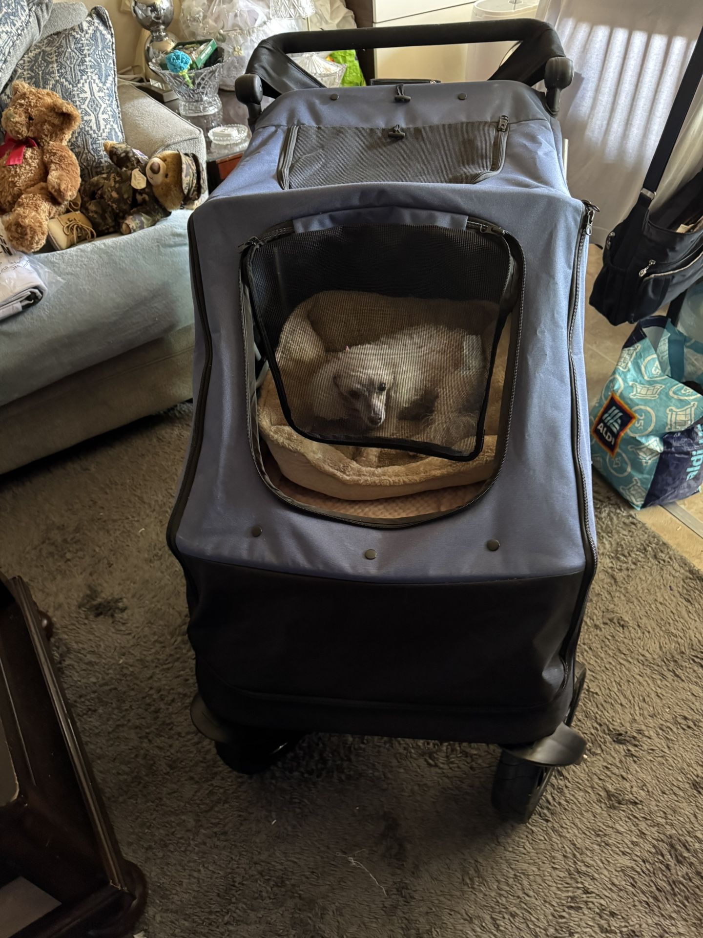 Large Dog Stroller