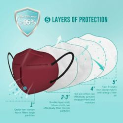 N95 Facemask 10 Pack