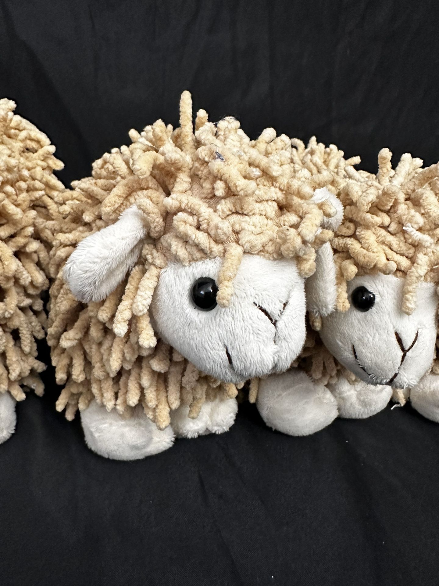 Six Soft And Cuddly Sheep From Amsterdam