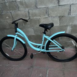 Adult Bike 