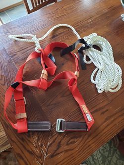 Fall protection harness