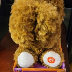 Spooky Peekaboo Bear!
