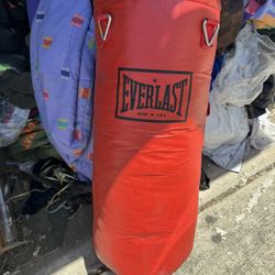 Everlast Punching bag 