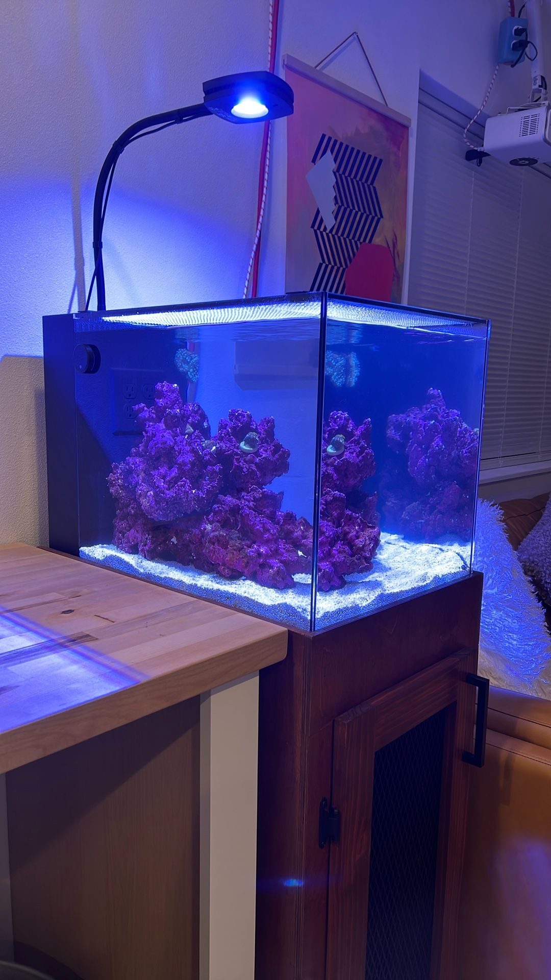 Complete Reef Aquarium