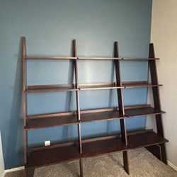 Ladder Bookshelf