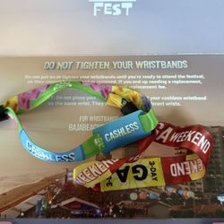Baja Beach Fest