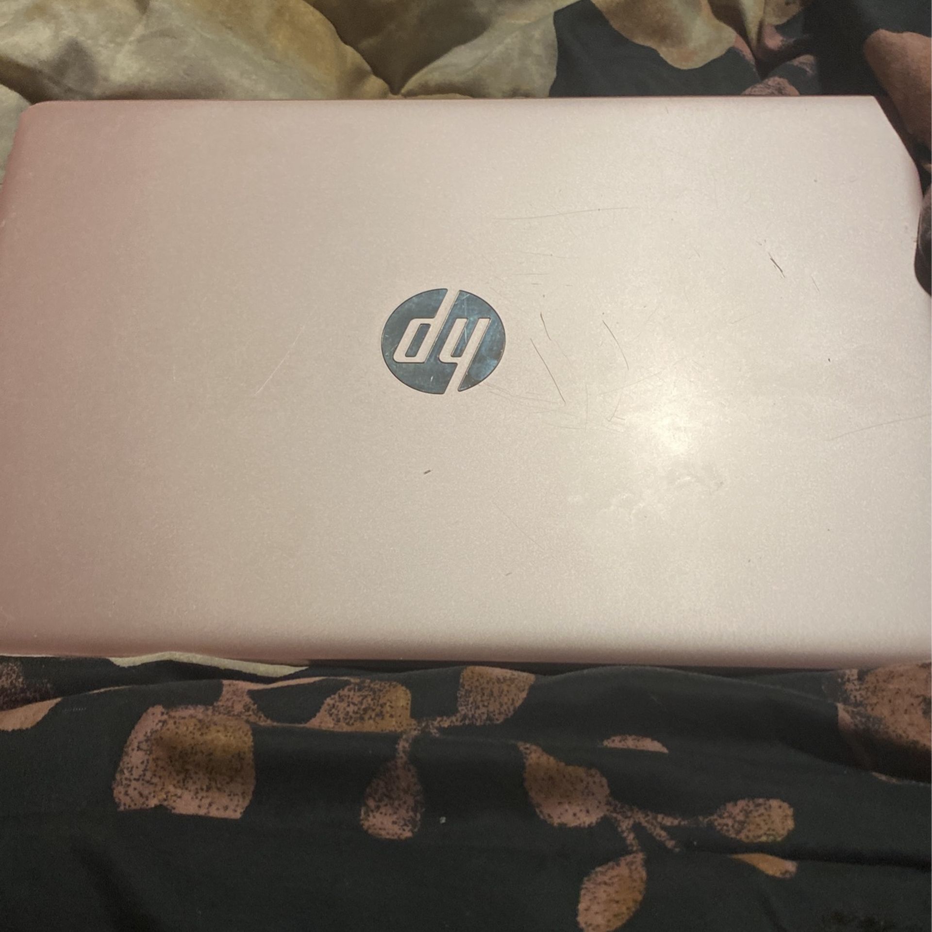 Hp Laptop 