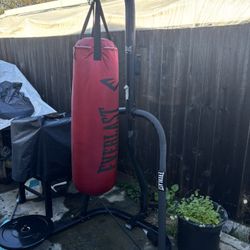 Boxing Bag With Stand 