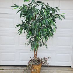 Artficial  Plant 