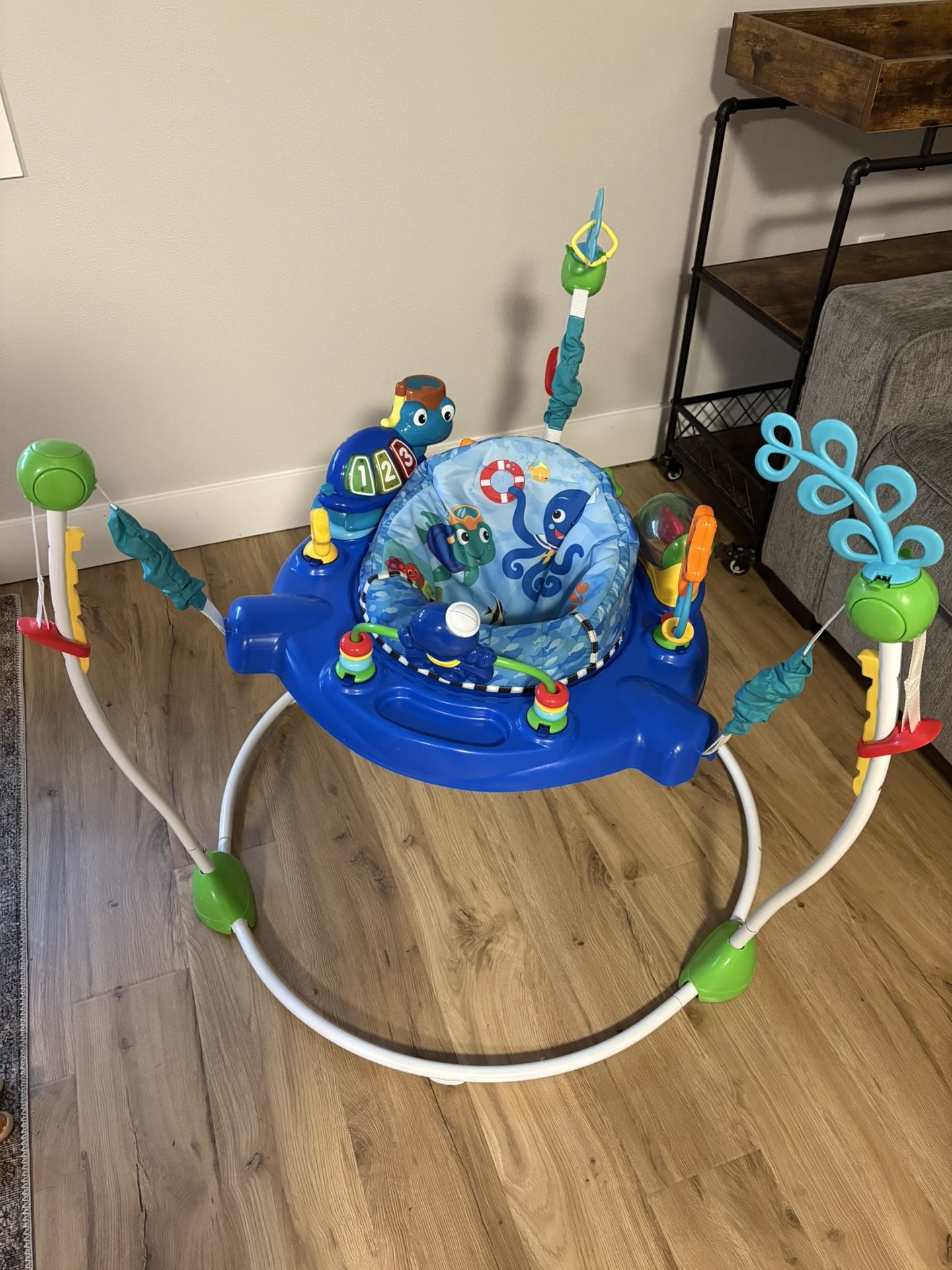 Baby Einstein Activity jumper/seat