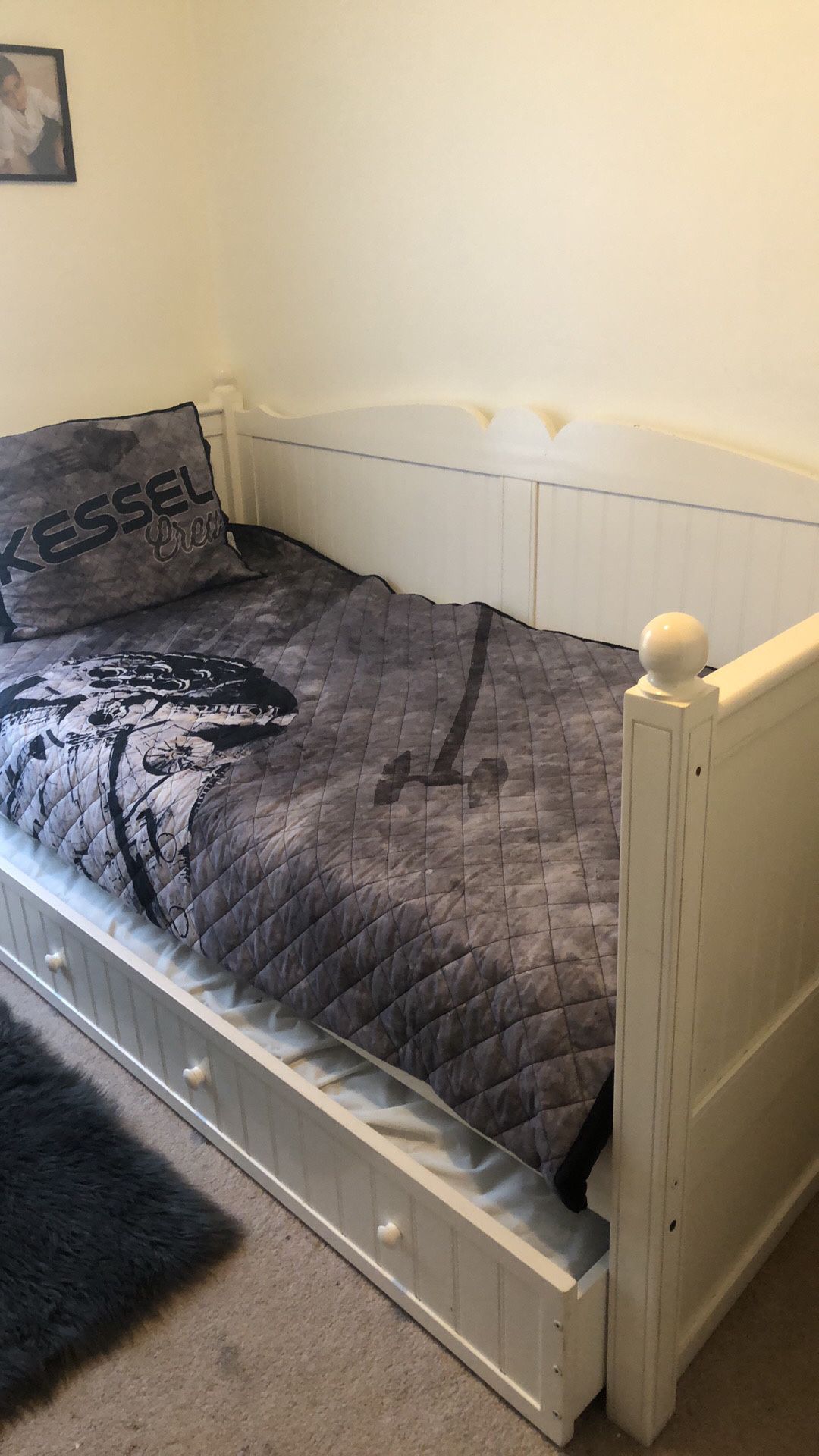 Twin bed frame with a twin pull out bed