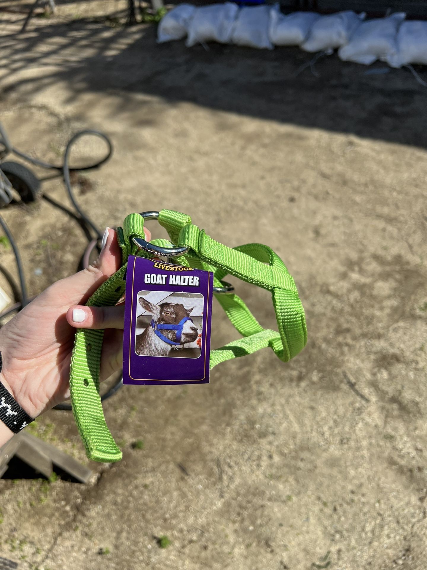 Goat Harness